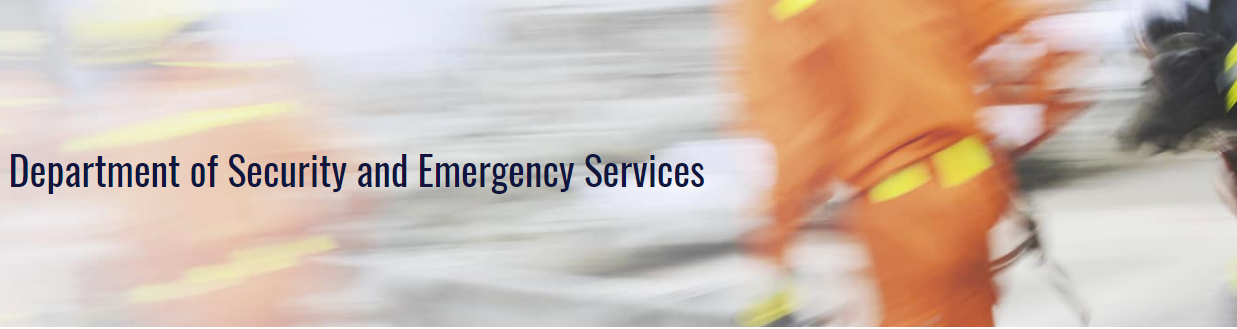 Security and Emergency Services - Worldwide