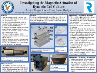 Investigating the Magnetic Actuation of Dynamic Cell Culture
