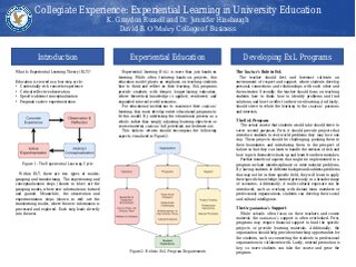 Collegiate Experience: A Literature and Phenomenological Study on Experiential Learning in University Education