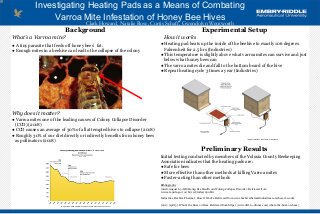 An Investigation into Heating Pads as an Effective Means of Combating Varroa Mite Infestation of Honey Bee Hives