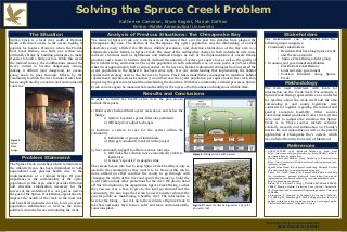 Solving the Spruce Creek Problem - Creating a Safer Water System Without Compromising the Environmental Health of a Water System
